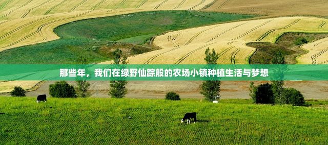 那些年，我们在绿野仙踪般的农场小镇种植生活与梦想